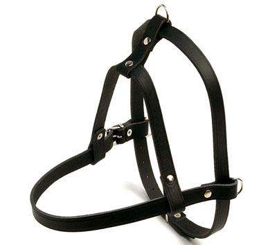 Karlie RONDO Suchgeschirr - 25 mm x 90 cm 02724 z1.jpg