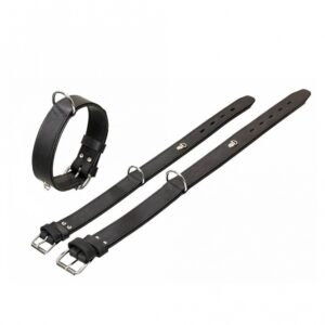 Karlie Rondo Halsband mit Ring für Adresstube – Schwarz – 65cm/40mm