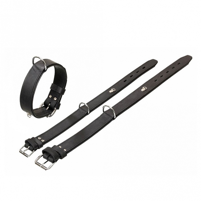 Karlie Rondo Halsband mit Ring für Adresstube - Schwarz - 55cm/35mm 06202.jpg