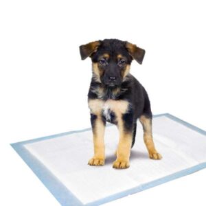 Karlie Flamingo Puppy Pads Trainingsmatten – 35 x 45 cm / 10 Stk
