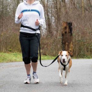 Trixie Bauchgurt mit Leine für mittelgroße und große Hunde – 75-120 cm