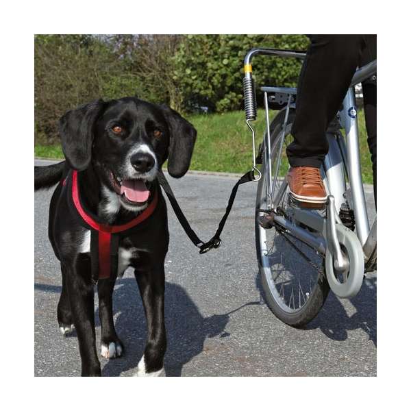 Trixie Biker-Set, Gr. S-M 1287 trxi.jpg