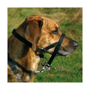 Trixie Top Trainer Ausbildungsgeschirr – max. 40 cm (kurz)