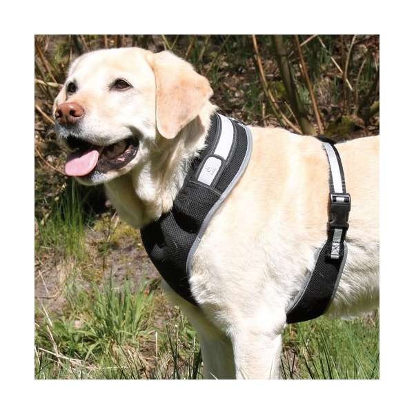 Trixie Flash Softgeschirr - L-XL: 65-100 cm 13261 trxi var.jpg