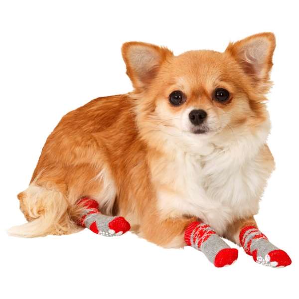 Karlie Doggy Socks Hundesocken 4er Set - Rot/Grau - S 15220 var.jpg