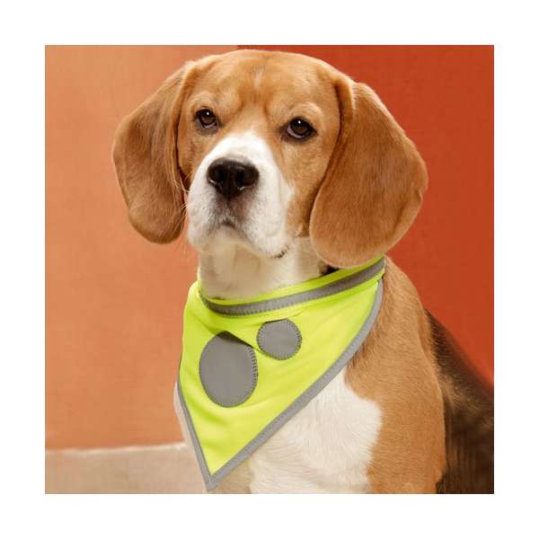 Karlie Safety Dog Sicherheitshalstuch - Gelb - 48-60cm / 30mm 16068.jpg