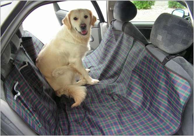 Pet-Star Autoschondecke 18041 akp schonbezug.jpg