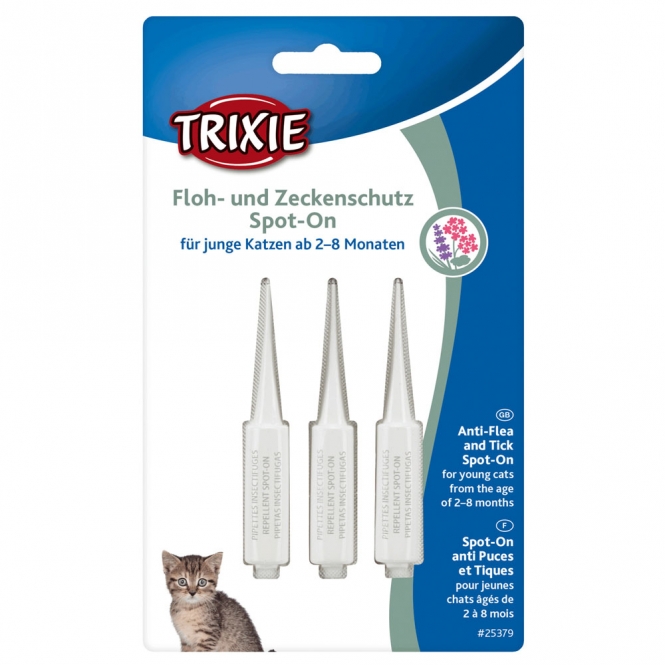 25379 katze1.jpg 25379 katze1.jpg
