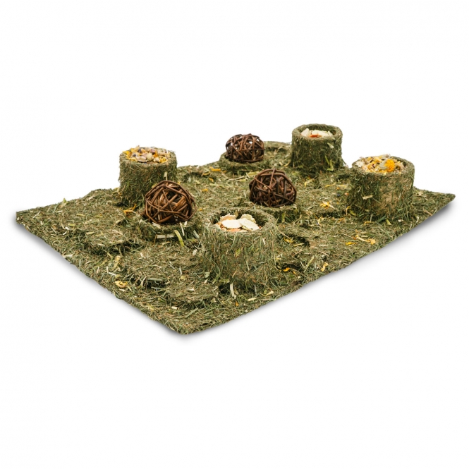 JR FARM Back to Instinct XXL Fun-Park 25667 1.jpg