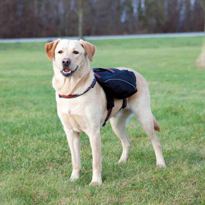 Trixie Rucksack für Hunde 28833 trxi.jpg