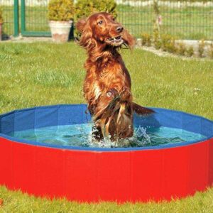 Karlie DOGGY POOL der Swimmingpool für Hunde – Rot-Blau – 120 cm