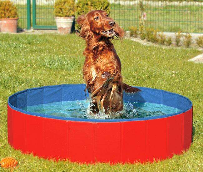 Karlie DOGGY POOL der Swimmingpool für Hunde - Rot-Blau - 120 cm 31887 z1.jpg