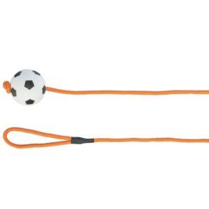 Trixie Moosgummiball am Seil – 6 cm / 1 m