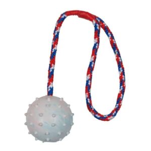 Trixie Naturgummiball am Seil – 7 cm / 30 cm