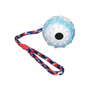Trixie Naturgummiball am Seil – 6 cm / 30 cm