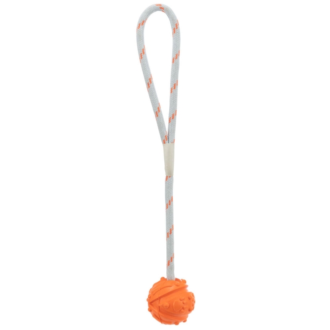 33481orange.jpg 33481orange.jpg