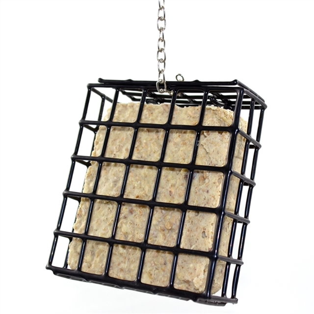 Pfiffikus Vogel-Buffet Spenderbox 4000593212831.jpg