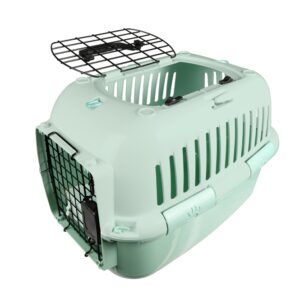 EBI Transportbox Adventurer – Grün – 57 x 38 x 38cm – max. 12kg