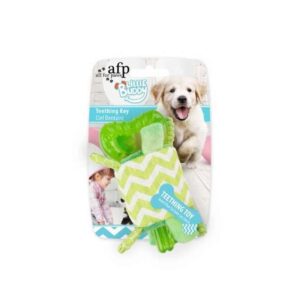 All for Paws Little Buddy – Teething Key Grün