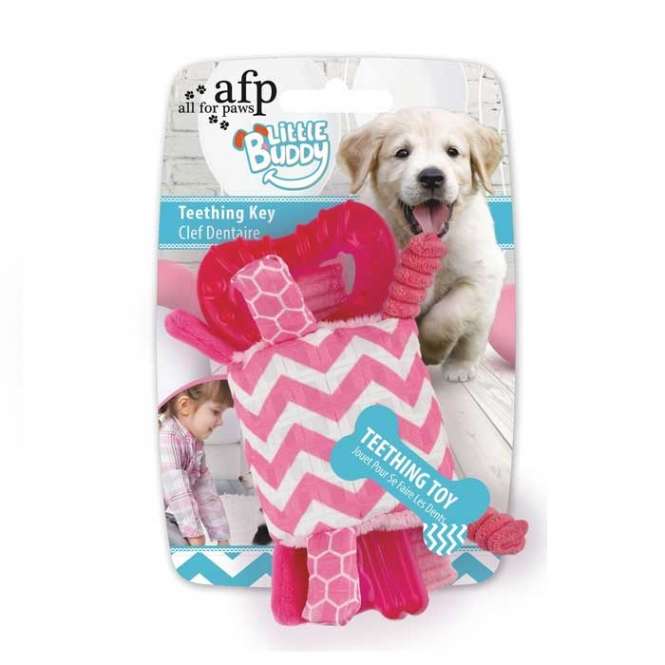 All for Paws Little Buddy - Teething Key Rosa 4215 pega.jpg