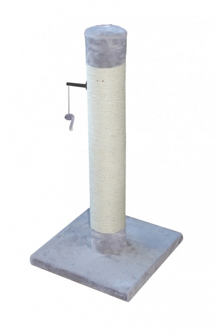 431 4291501.jpg