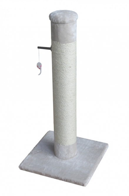 431 429167.jpg