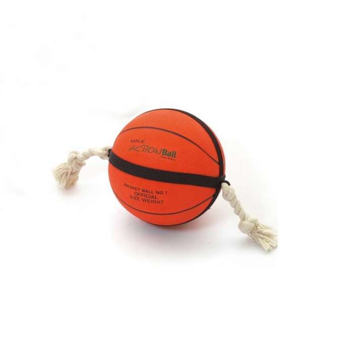 Karlie ACTION BALL Basketball - 24 cm 454171.jpg