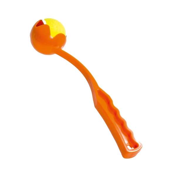 46698.jpg 46698.jpg
