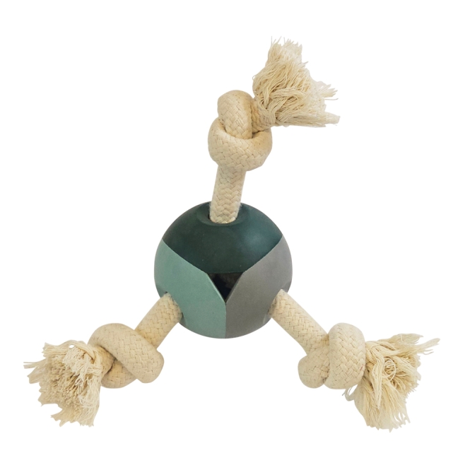 53111.jpg