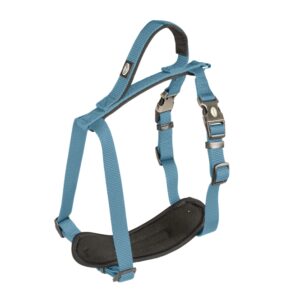 Duvoplus EXPLOR North Geschirr – Petrolblau – 80-100cm/25mm