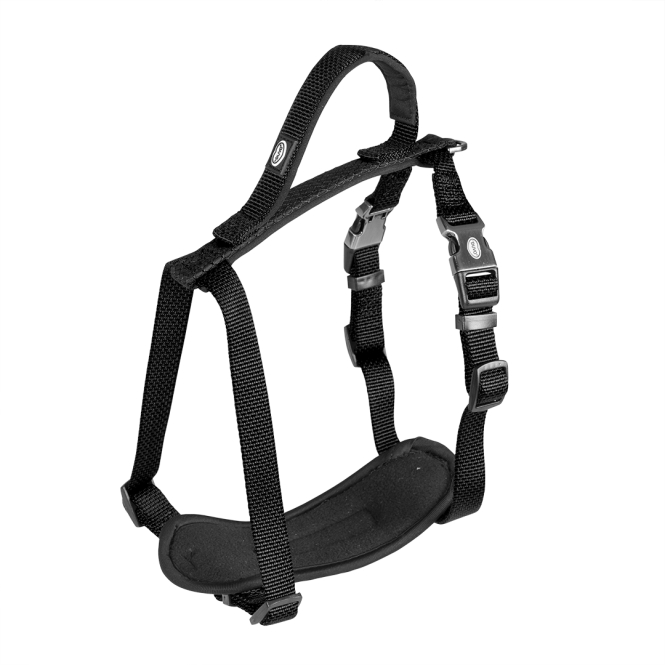 Duvoplus EXPLOR North Geschirr - Schwarz - 50-65cm/20mm 5414365289829 prd webl.jpg