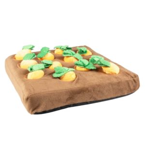 Duvoplus Schnüffelmatte Karottengarten