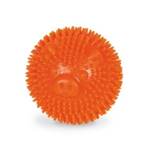 Nobby TPR Noppen Ball Pig – 6,5cm