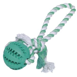 Nobby Dental Ball mit Seil