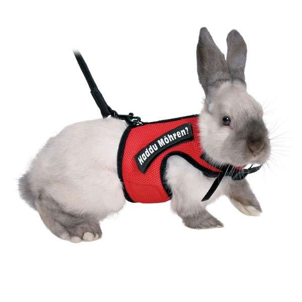Trixie XBunny Garnitur für Kaninchen 61492 trxi.jpg