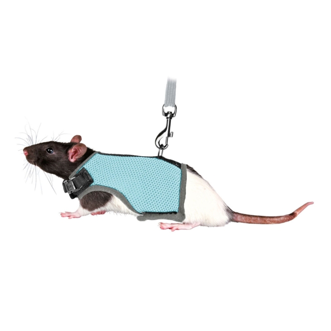 Trixie Softgeschirr für Ratten 61511 3.jpg