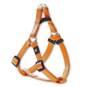 Karlie ASP Step&Go Geschirr – Orange – 25 mm, 64-95 cm