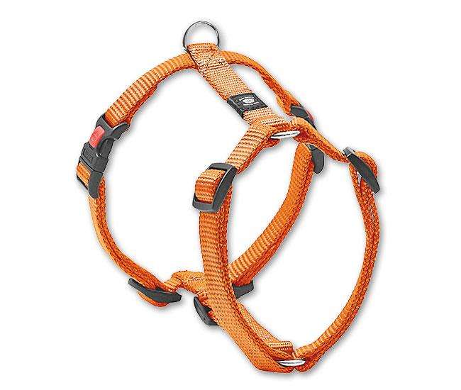 67791 z1.jpg