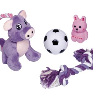Nobby Puppy Starter Set – 4 teilig