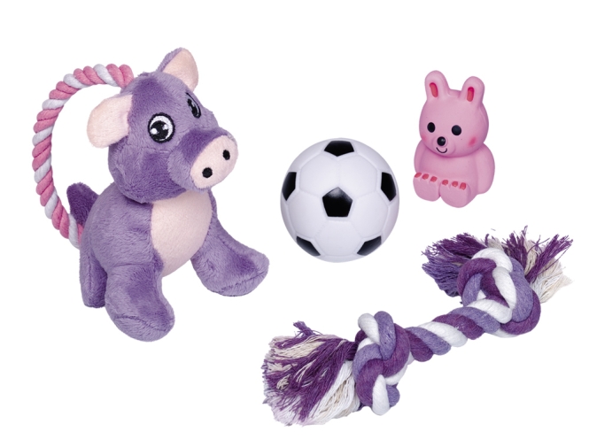 Nobby Puppy Starter Set - 4 teilig 69842.jpg