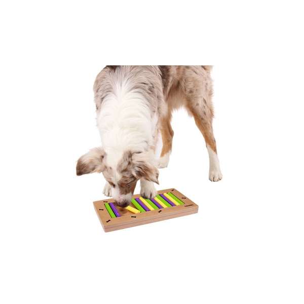 Kerbl Denk- und Lernspiel EASY 82261 1 kerbl.jpg