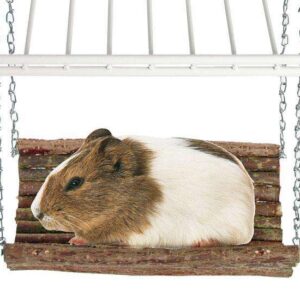Karlie RODY SWING Nagerschaukel – M