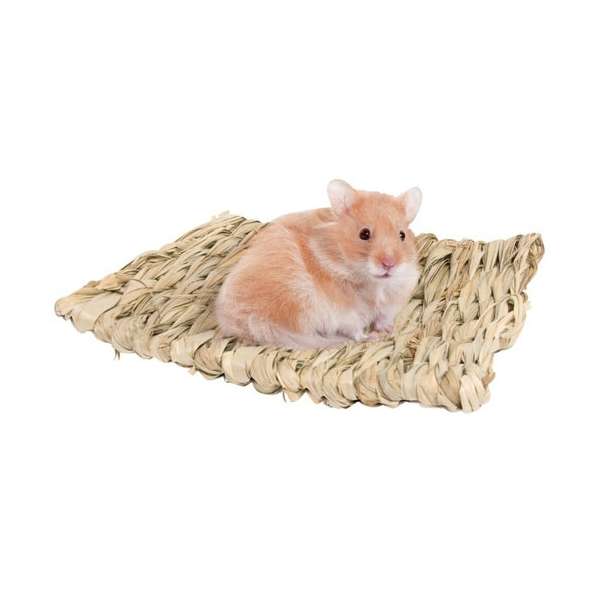 88617 1.jpg