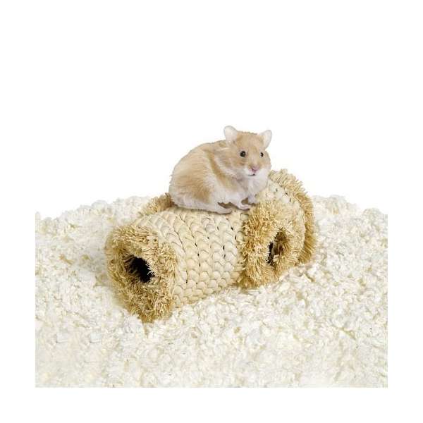 Karlie Rody Fiber 88626 1.jpg