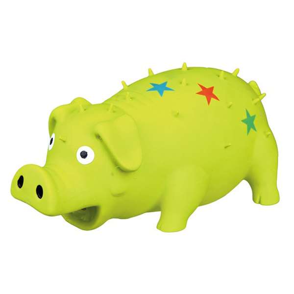 9935332 sternenschwein 3.jpg