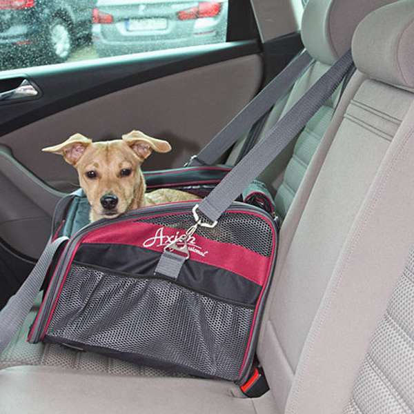autositztasche axion 80594 1.jpg autositztasche axion 80594 1.jpg