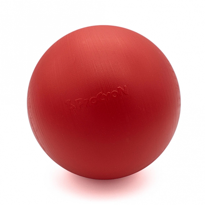 PROCYON Treibball Größe S - extra stabil - rot ballrot 1.jpg