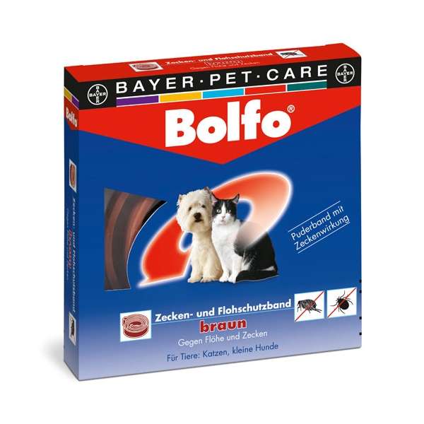 bolfobandkatze.jpg