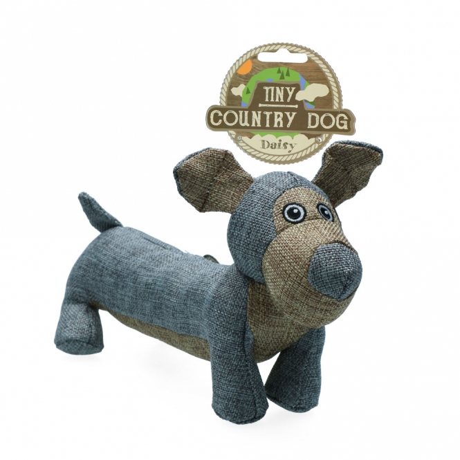 Country Dog Tiny Daisy daisy.jpg