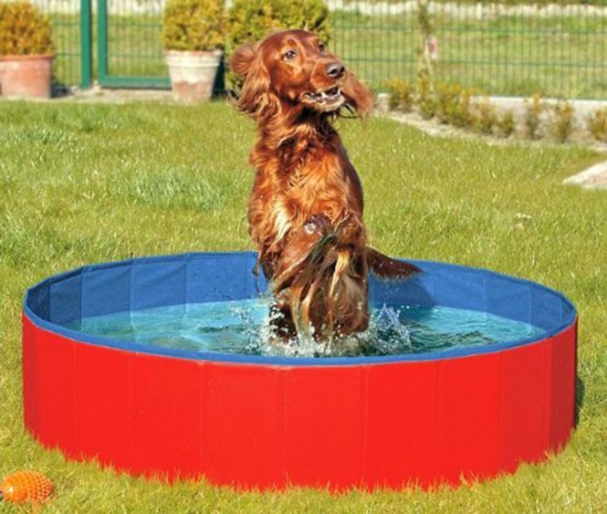 Karlie DOGGY POOL der Swimmingpool für Hunde - Rot-Blau - 160 cm doggypool1.jpg